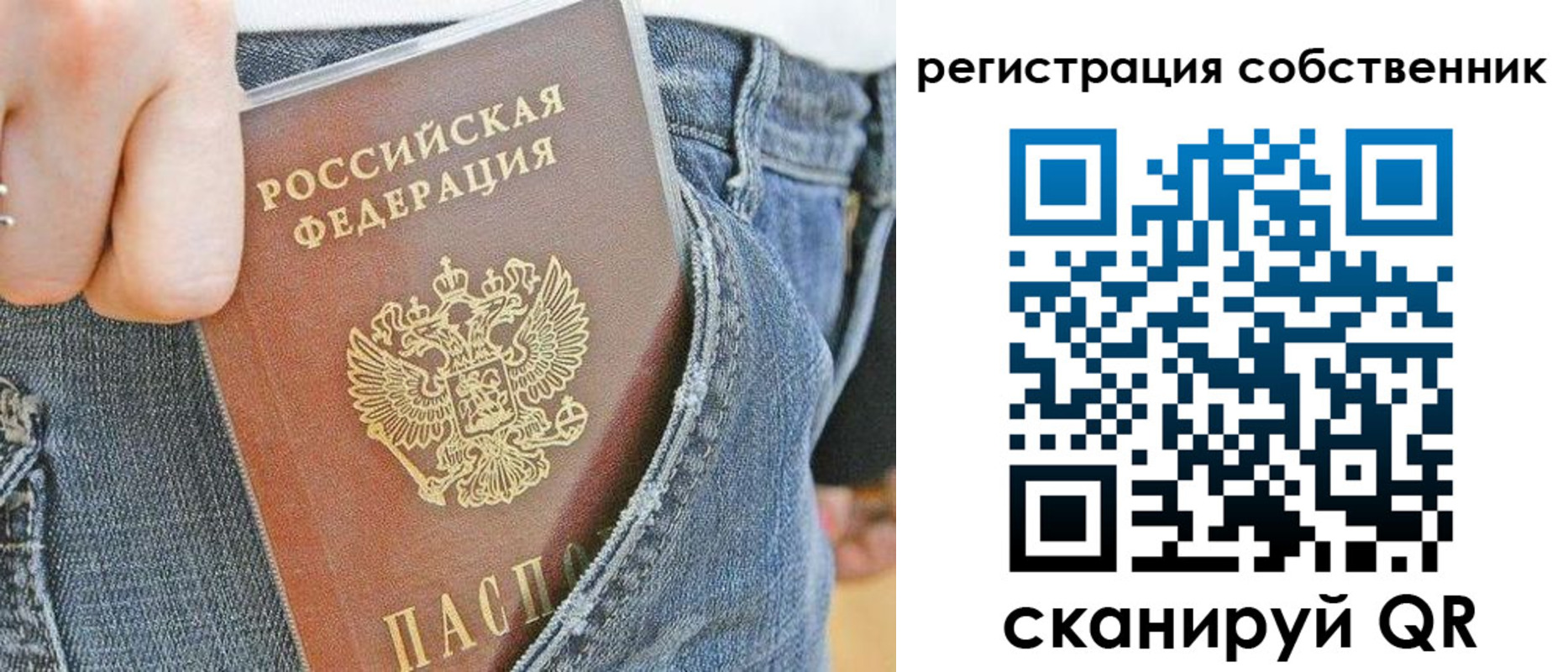 временная регистрация гарантия в Карабаново